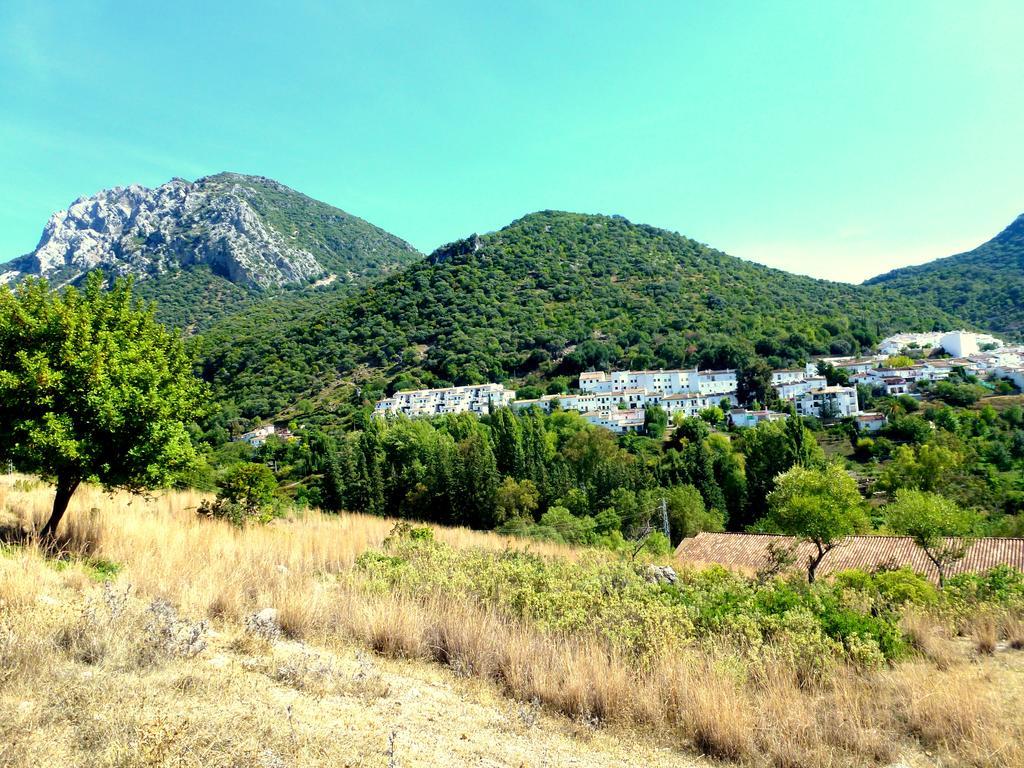 בנאמאהומה Casa Rural El Aljibe מראה חיצוני תמונה